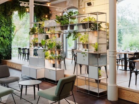 World Of Plants For Haller