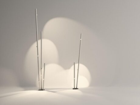 Bamboo
