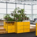 World Of Plants For Haller
