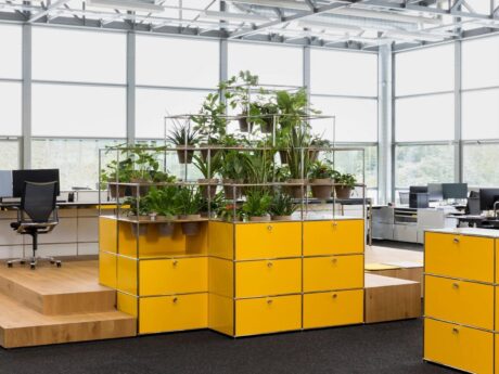 World Of Plants For Haller