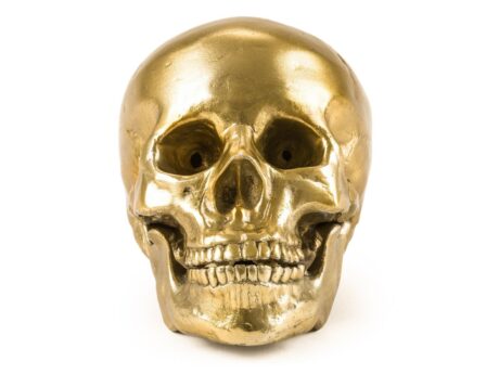 Human Skull