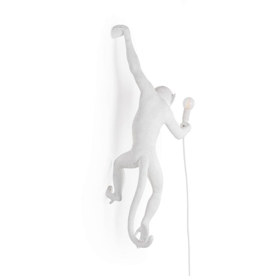 The Monkey Lamp Hanging уличный настенный светильник Seletti