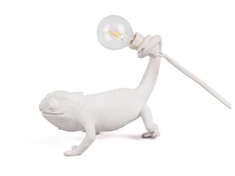 Chameleon Still
