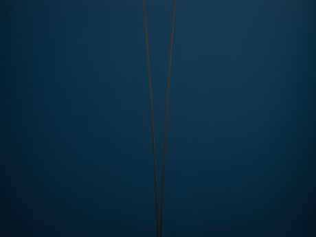 Vi. F