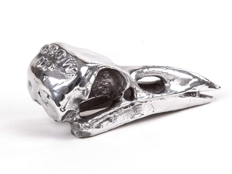 Bird Skull декоративный предмет Seletti
