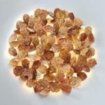 Pathleaf Pl376/32