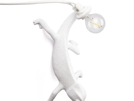 Chameleon Going Down