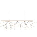 Heracleum Endless