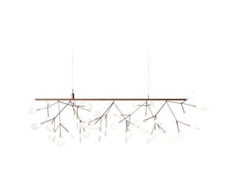Heracleum Endless