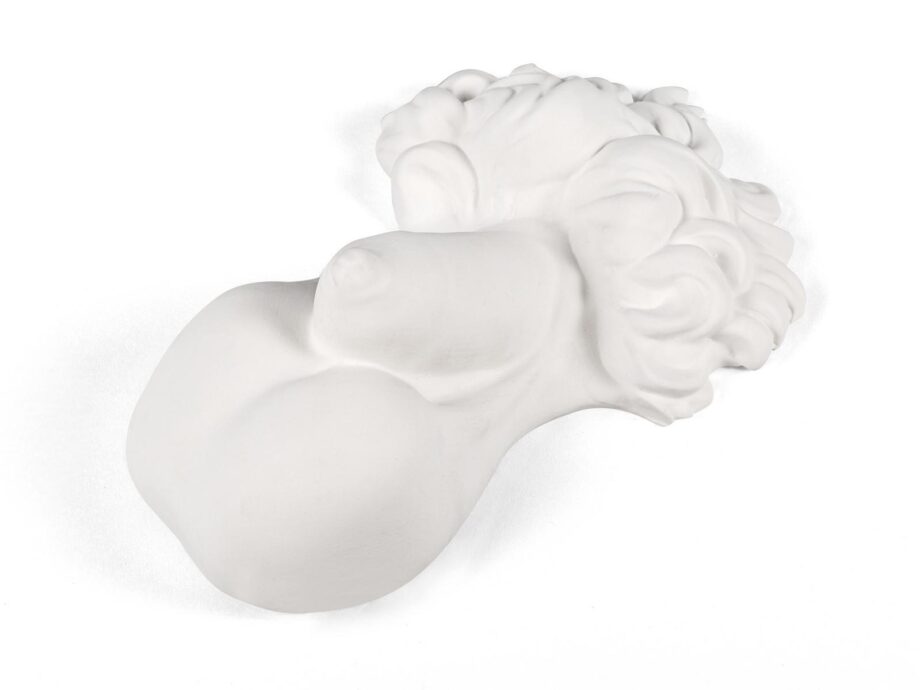 Penis декоративный предмет Seletti