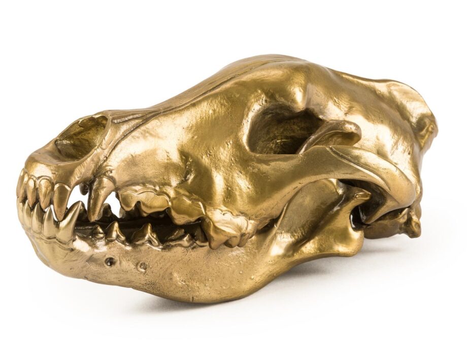 Wolf Skull декоративный предмет Seletti