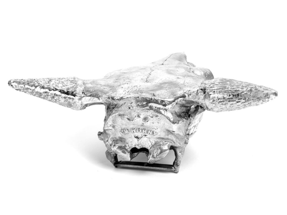 Bison Skull декоративный предмет Seletti