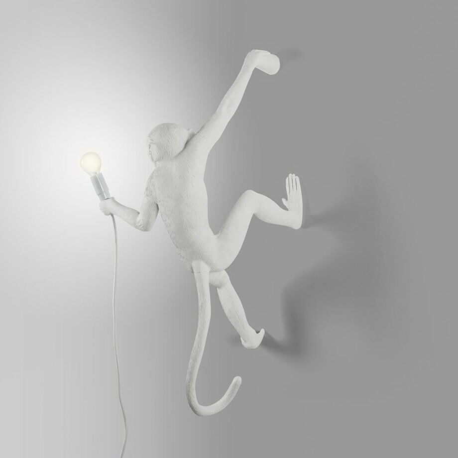 The Monkey Lamp Hanging уличный настенный светильник Seletti