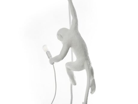 The Monkey Lamp Ceiling