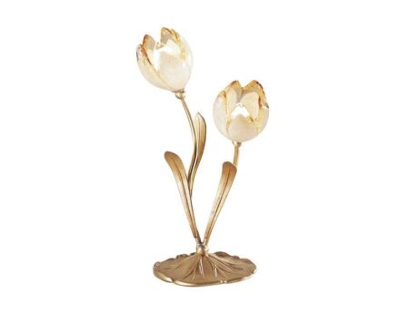 Tulipani 319/l2