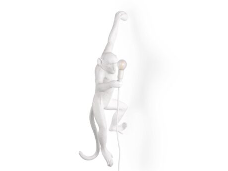 The Monkey Lamp Hanging