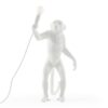 The Monkey Lamp Standing