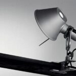Tolomeo Pinza