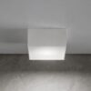 Little Box