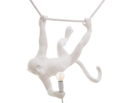 The Monkey Lamp Swing