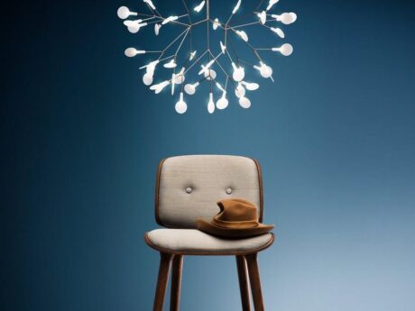 Heracleum Ii Small