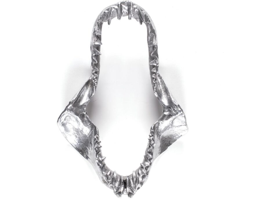 Shark Jaw декоративный предмет Seletti