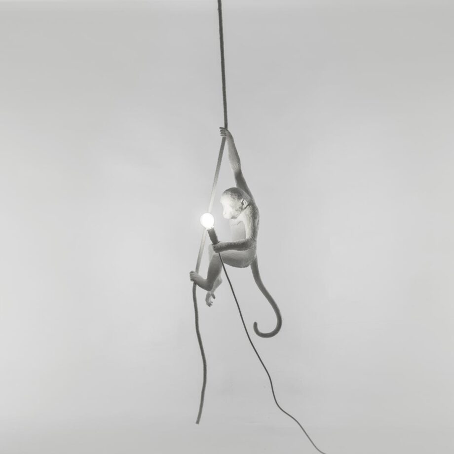 The Monkey Lamp Ceiling уличный подвесной светильник Seletti