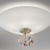 Lizzi Pl5/pl3