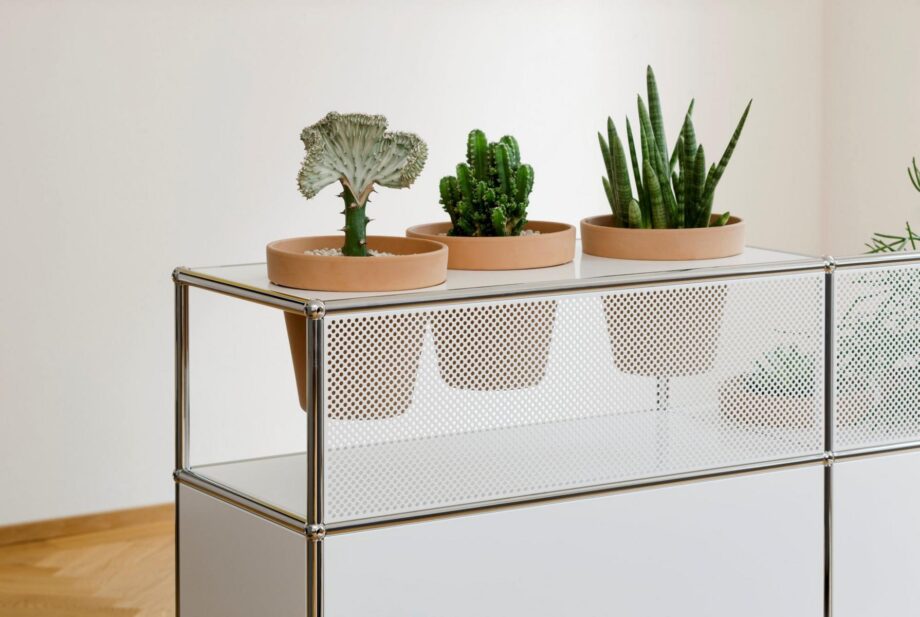 World Of Plants For Haller комод Usm