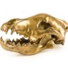 Wolf Skull