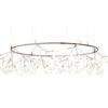 Heracleum Small Big O