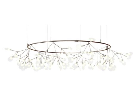 Heracleum Small Big O