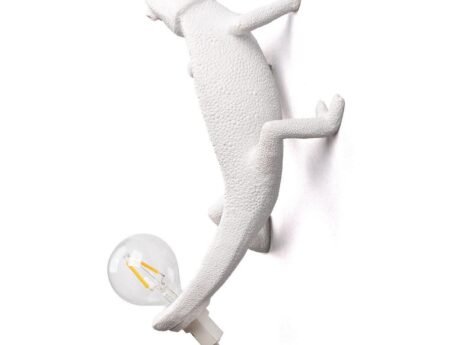 Chameleon Going Up