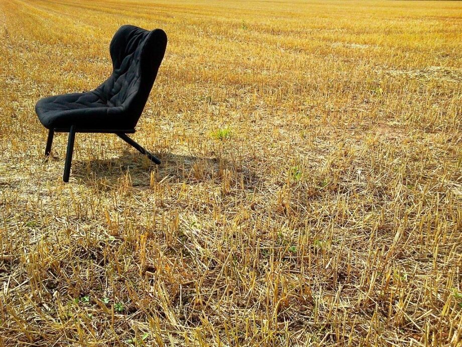 Foliage кресло Kartell