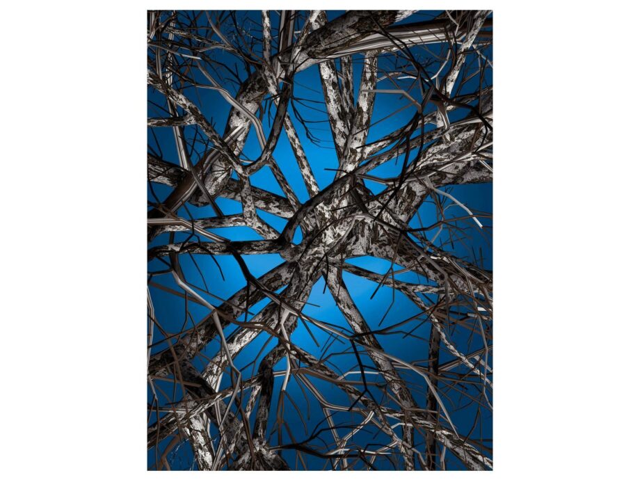 Liquid Birch ковер Moooi