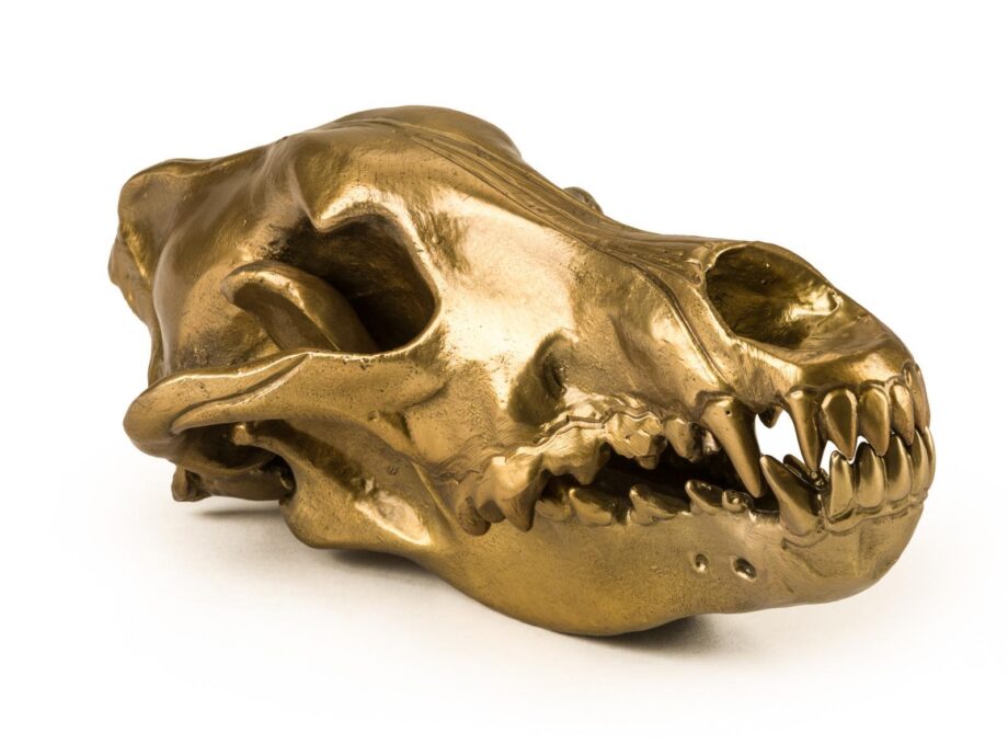 Wolf Skull декоративный предмет Seletti