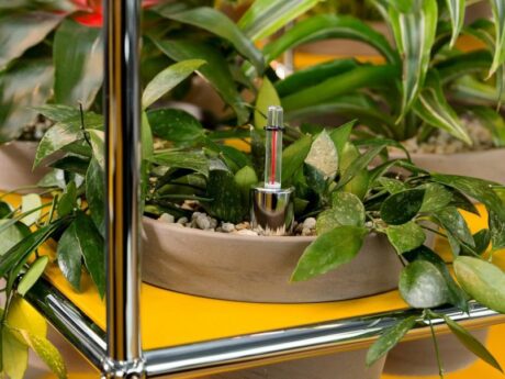 World Of Plants For Haller