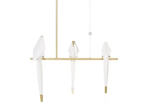 Perch Light Branch