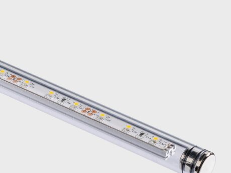 Miniflux Transparent