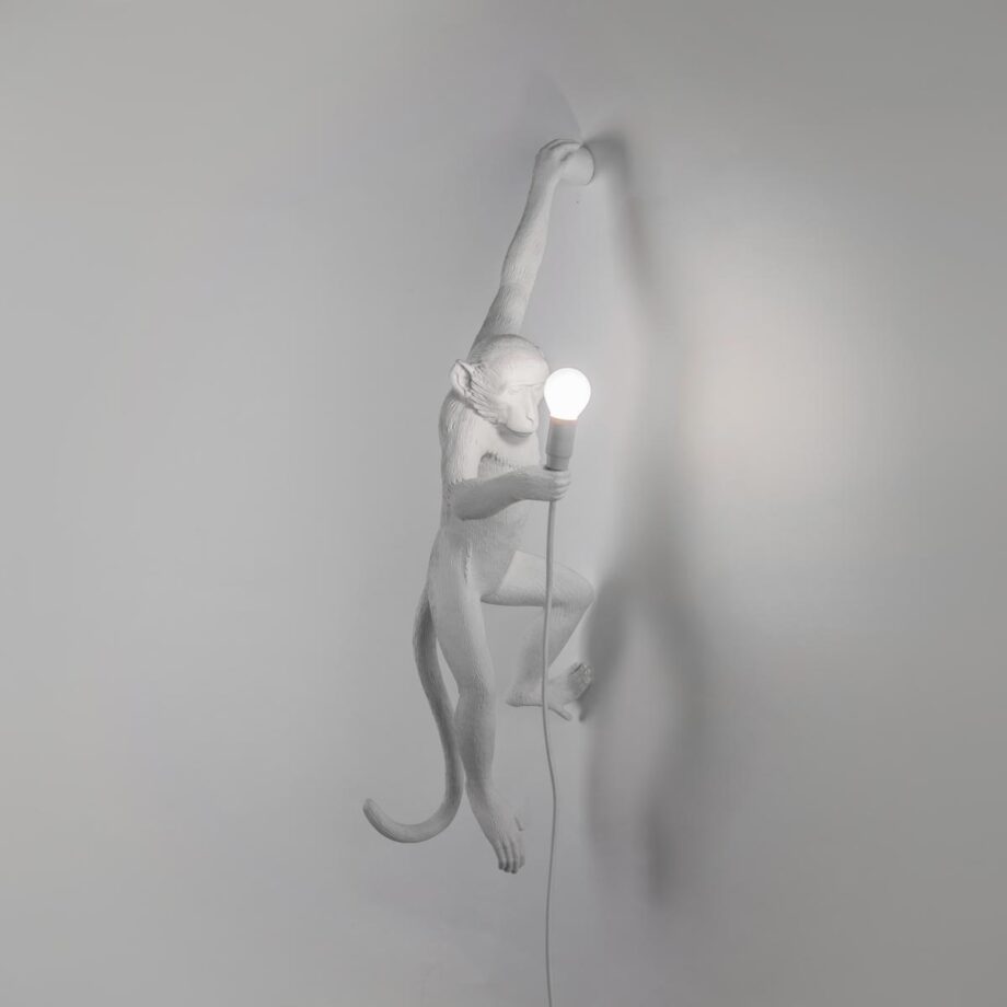 The Monkey Lamp Hanging уличный настенный светильник Seletti