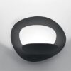 Pirce Micro