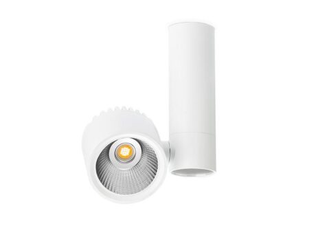 Zen Tube Surface