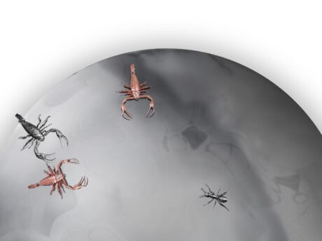 Concave Metamorphosis