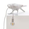 Bird Lamp Playing
