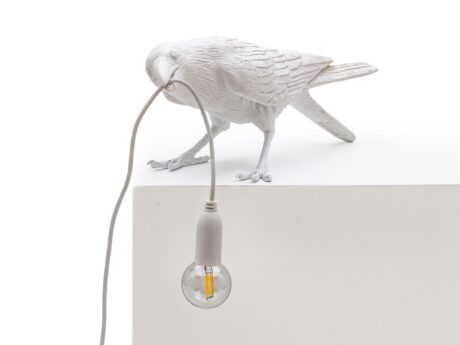 Bird Lamp Playing