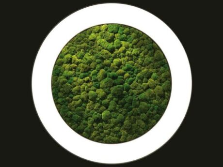 Luce Verde Anello
