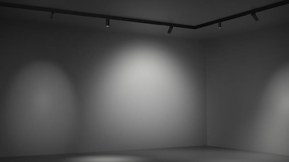 Vector Magnetic трековая система Artemide