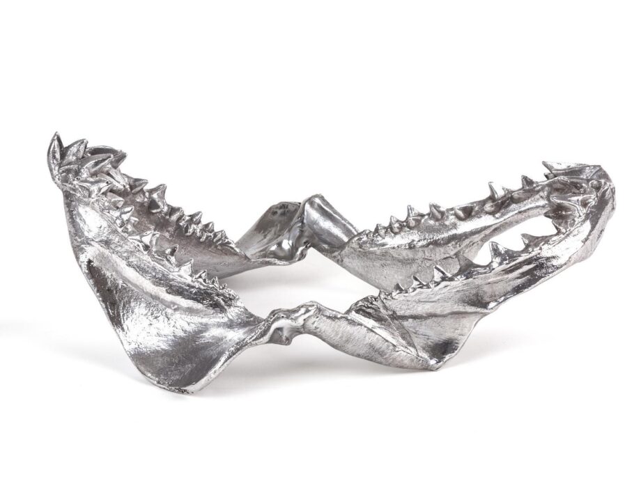 Shark Jaw декоративный предмет Seletti