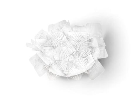 Clizia Pixel