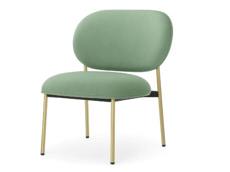 Blume 2951